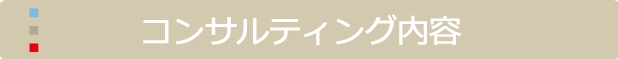 コンサルティング内容